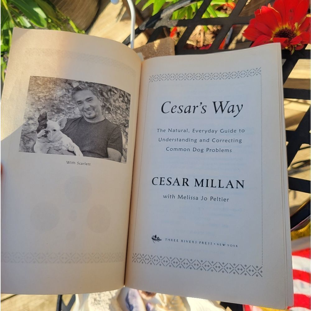 Cesar Millan Book‎ - Picture 6 of 8